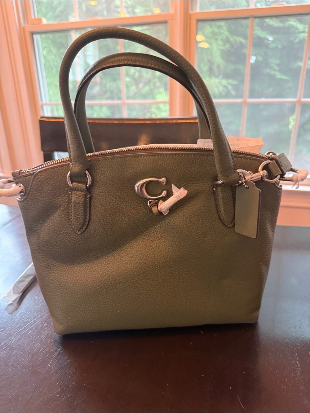 Coach Olive Pebble Leather Mini Satchel with Silver Hardware